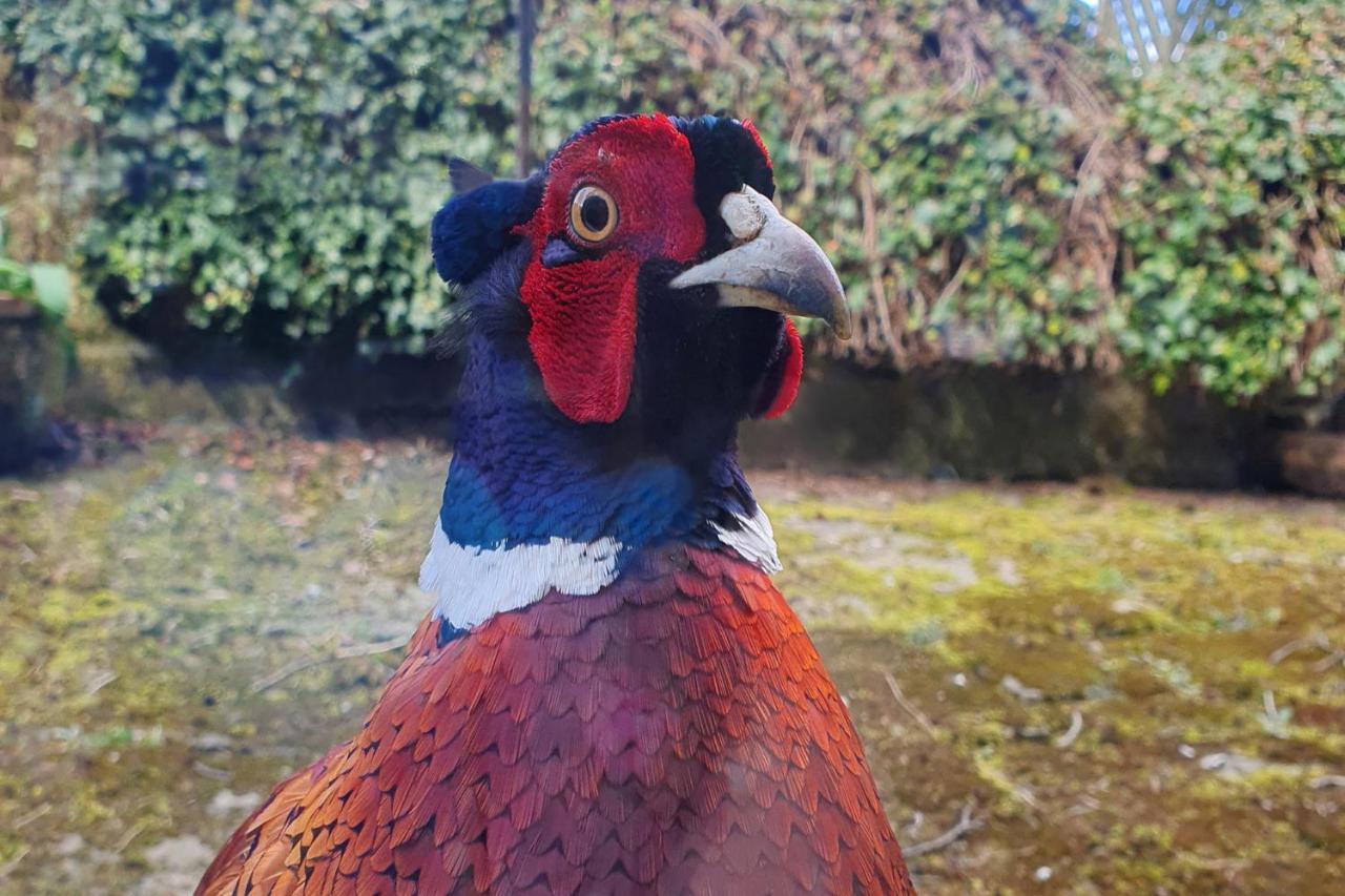Dannah Farm Country House Shottle Dış mekan fotoğraf